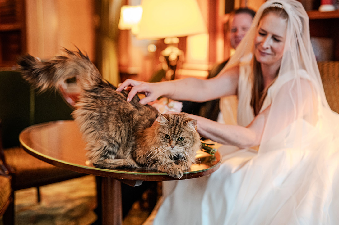 lilibet-cat-lanesbourough-wedding - Wedding photographer London lilibet-cat-lanesbourough-wedding-hyde-park