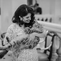 Woman in a sequined wedding dress gently cradles a fluffy cat, smiling in an elegant indoor setting.